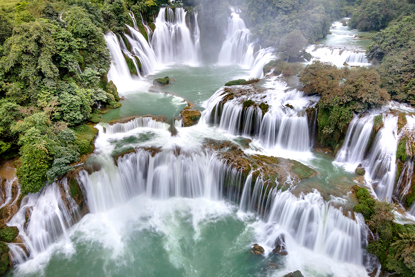 You Can Predict the Future